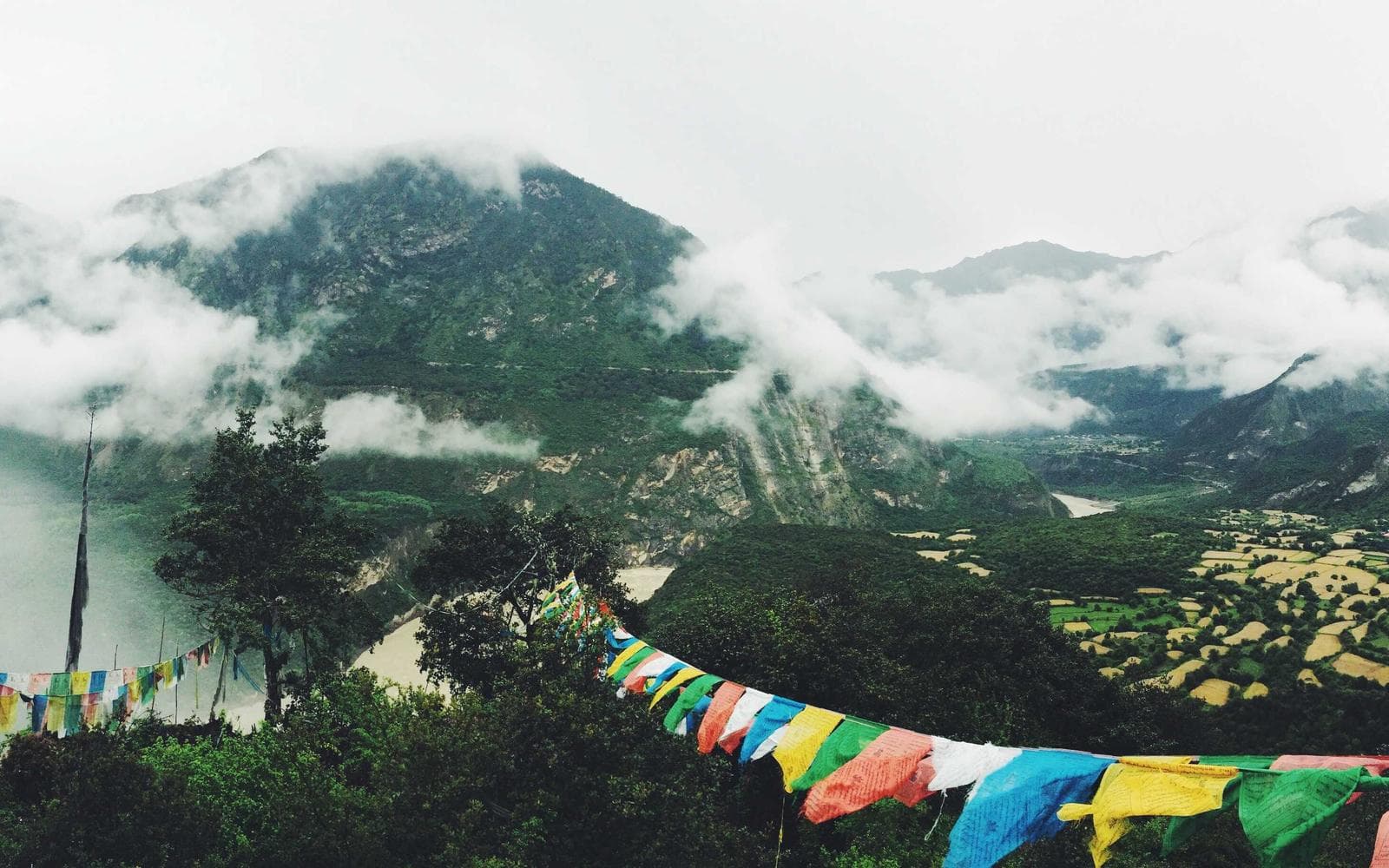 Preview Sentra Presence